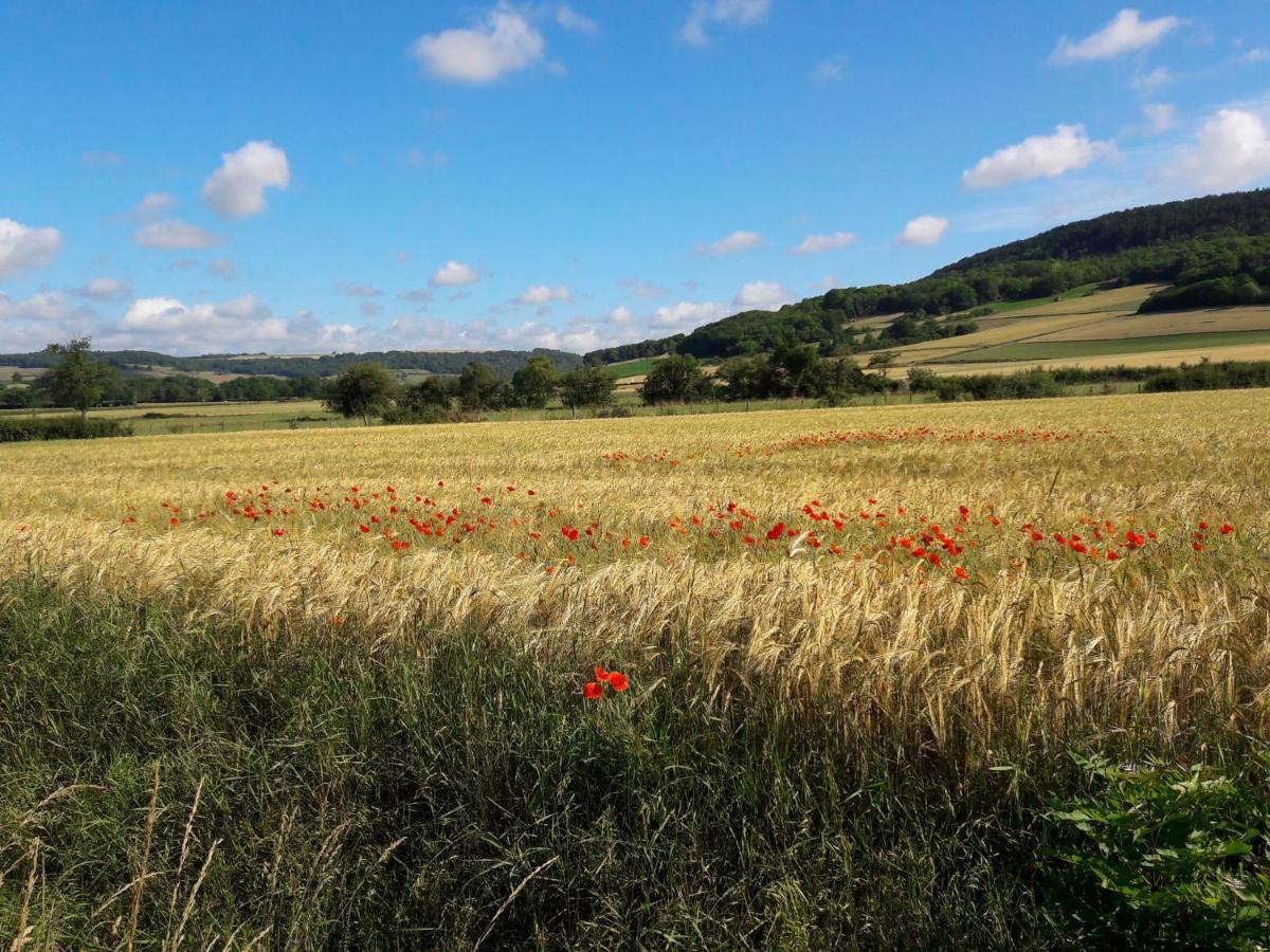 Maison de campagne au cœur de l'Auxois - Tivauche-le-Haut en Côte d'Or Corsaint Extérieur photo
